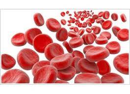 Serrapeptaz (Serrapeptase) Nedir?
