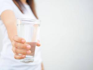 Böbrek Nedir? Yapısı, Özellikleri ve Görevleri Nelerdir?