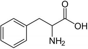 Fenilalanin Maddesinin Sağlığa Yararları
