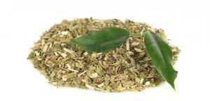Yerba Mate (Paraguay) Çayının Sağlık Açısından Faydaları