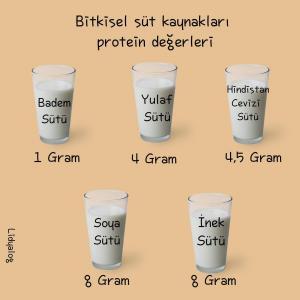Bitki Bazlı Alternatif Sütler