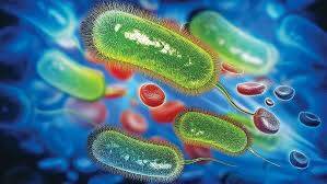 IBS ve IBD Arasındaki Farklar Nedir?