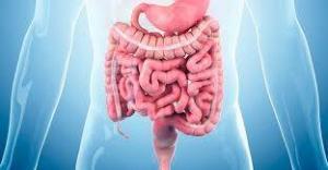 IBS ve IBD Arasındaki Farklar Nedir?
