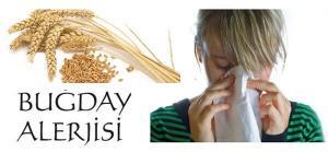 Buğday Alerjisi Nedir? Belirtileri Nelerdir, Nasıl Tedavi Edilir?