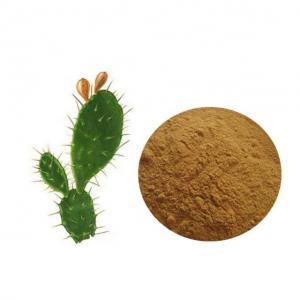 Caralluma Fimbriata Nedir?