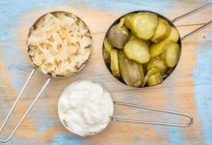 Sağlıklı Bağırsak Florası ve Probiyotikler