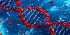 Oksaloasetat (Oxaloacetate)'ın Sağlık Açısından Yararları