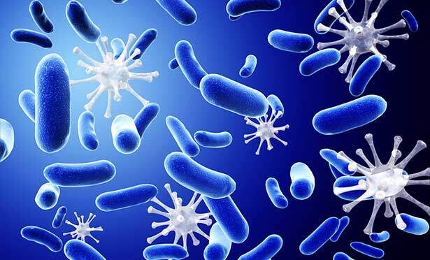 Süper Bakteriler Nedir?