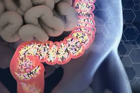 Clostridium Difficile Enfeksiyonu Hakkında Bilinmesi Gerekenler
