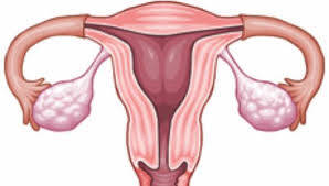 Pap Smear Testi Hakkında Bilinmesi Gerekenler