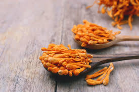Kordiseps (Cordyceps) Nedir?