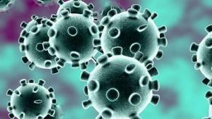 Koronavirus Nedir,  Neye Sebep Olur, Nasıl Korunmak Gerekir?