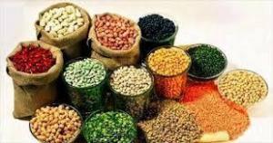 Fitohemagglutinin (Bitki Lektin) Nedir, Bileşenleri ve İşlevi Nelerdir?