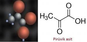 Karbonhidrat Metabolizması (Glikolitik Metabolitleri)