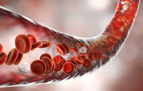 Hepsidin Nedir?