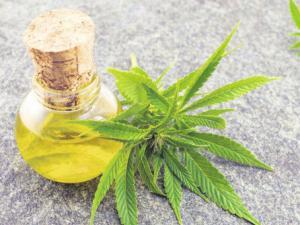 Cannabidiol (CBD) Nedir, Esrardan Farkı Var mıdır?