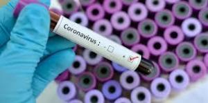 Genetik Yapı Koronavirüsü (Coronavirüs) Nasıl Etkiler?