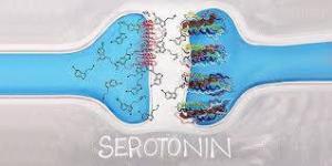 Serotonin Sendromu: Belirtileri, Nedenleri ve Tedavisi