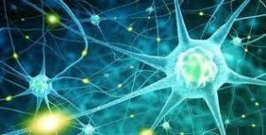 Serotonin Eksikliğinin Genel Sağlık Açısından Etkileri Nelerdir?
