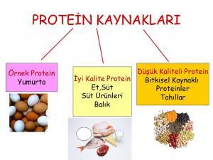 Proteinin Önemi Nedir, Yaş Gruplarına Göre Ne Kadar Protein Alınmalıdır?