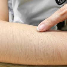 Lüteinizan Hormonu Nedir, İşlevi ve Test Değerleri Nelerdir?