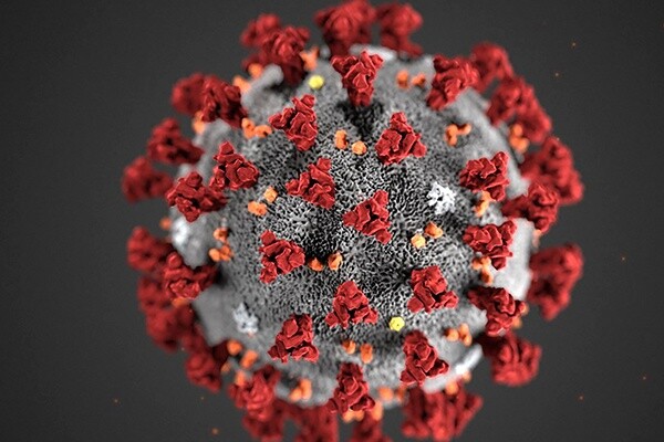 Baharda Sıcaklıkların Artması Koronavirüs Salgınını Yavaşlatır mı?