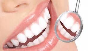 Saccharomyces Cerevisiae Nedir?