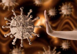 Koronavirüs ile Mücadelede Ekinezya Yardımcı Olabilir mi?