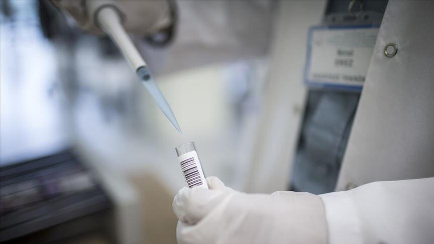 Koronavirüs ve Antikor Testleri