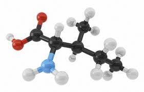 Dallı Zincir Amino Asitin (BCAA) Sağlık Açısından Faydaları