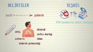 Asemptomatik ve Hafif COVID-19 Nedir?