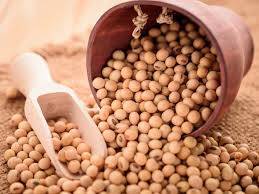 Nattokinase Nedir, Sağlık Açısından Faydaları Nelerdir?