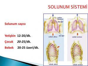 Coronavirus: Orta, Şiddetli ve Kritik COVID-19 Nedir?