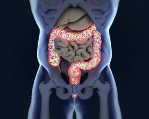 Lipopolisakkaritler (LPS) Nedir?