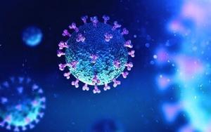 Koronavirüs ile Mücadelede Demir ve Ferritin Yardımcı Olabilir mi?