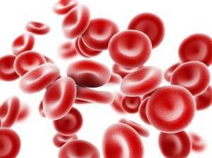 Koronavirüs ile Mücadelede Demir ve Ferritin Yardımcı Olabilir mi?
