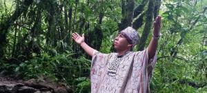 Ayahuasca Nedir?