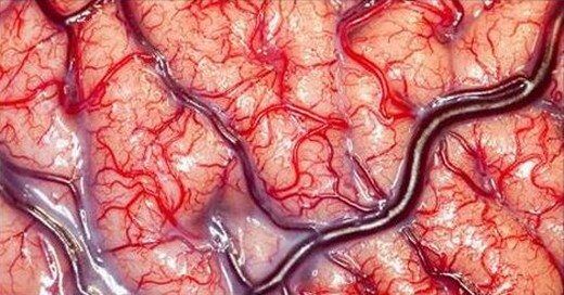 Beyne Giden Kan Akışının Önemi ve İlişkili Hastalıklar