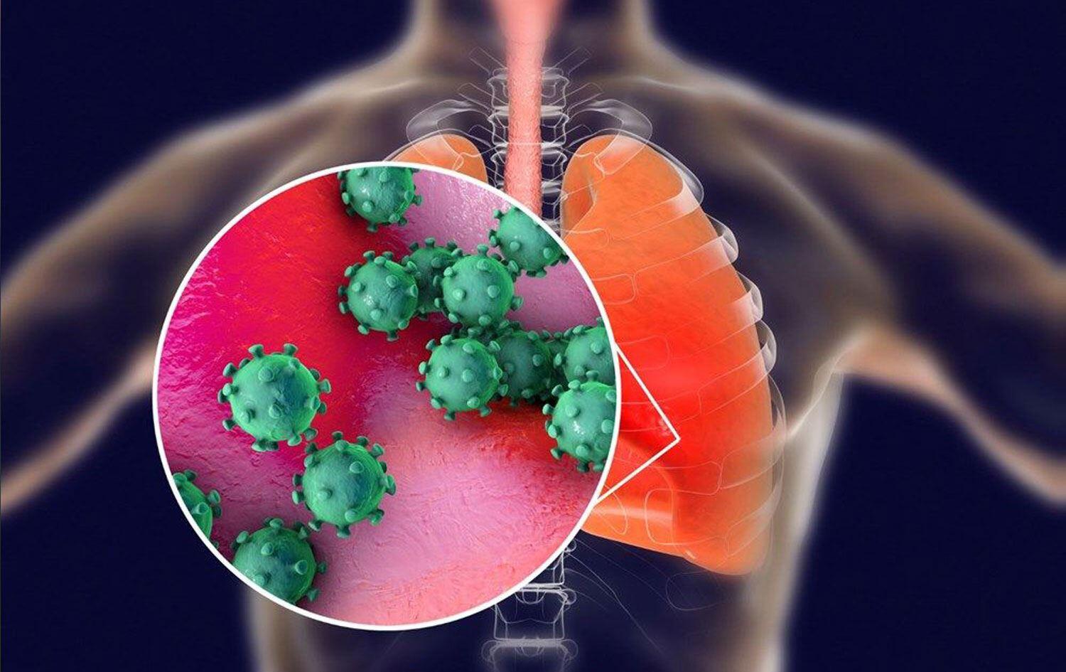 Koronavirüsten En Çok Etkilenen Akciğerlerimiz Nasıl Çalışıyor?