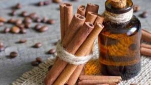 Çin Tarçın Özü Yağı (Cassia): Bileşenleri,  Kullanım Bilgileri ve Olası Etkileşimleri