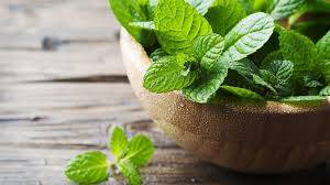 Tıbbi Bitkilerin Antiviral Potansiyeli