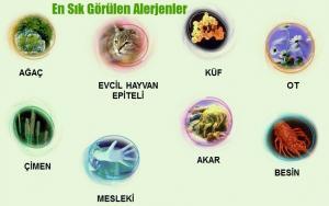 Alerji Tetikleyiciler Nelerdir? Korunmak İçin Yapılabilecekler Nelerdir?