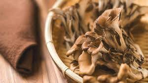 Maitake Mantarının Faydaları, Dozaj ve Güvenliği