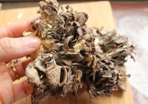 Maitake Mantarının Faydaları, Dozaj ve Güvenliği