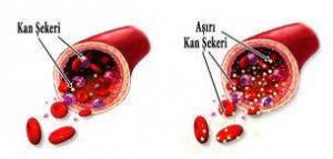 Hepatosit Nükleer Faktörü (HNFa) Nedir?