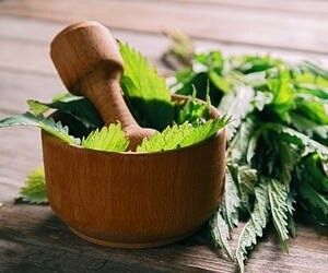 Kolinerjik Aktiviteyi Artırabilecek Bitkiler ve Takviyeler