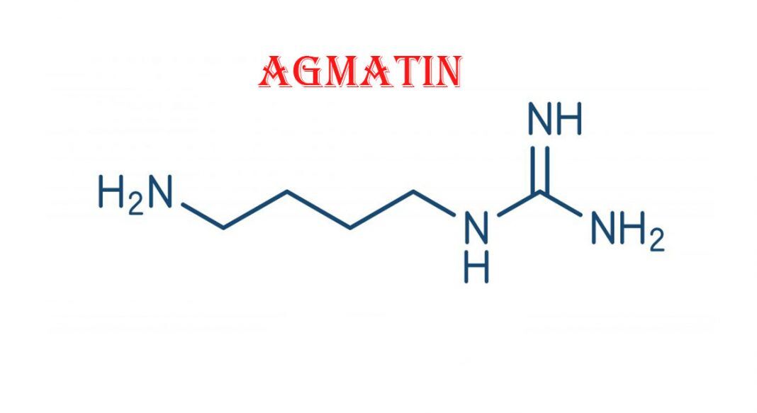 Agmatin Nedir, Etki Mekanizması ve Etkileşimleri Nelerdir?
