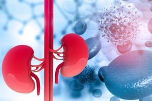Adrenal Yorgunluk Nedir, Belirtileri ve Tedavi Koşulları Nelerdir?