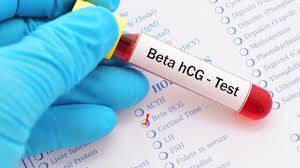 Gebelikte HCG Hormonunun Fonksiyonu ve Test Seviyeleri