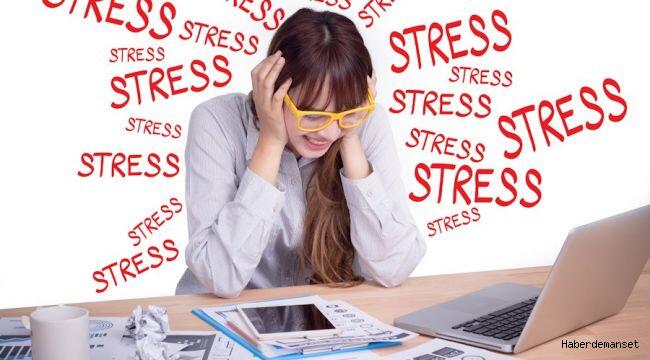 Stres Hormonları: Adrenalin, Kortizol, Norepinefrin Sağlığı Nasıl Etkiler?